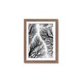 Picture of Web of Trees _GroupedProduct_Rectangle_Portrait_Photography _GroupedProduct_Rectangle_Portrait_Framed_Matted_