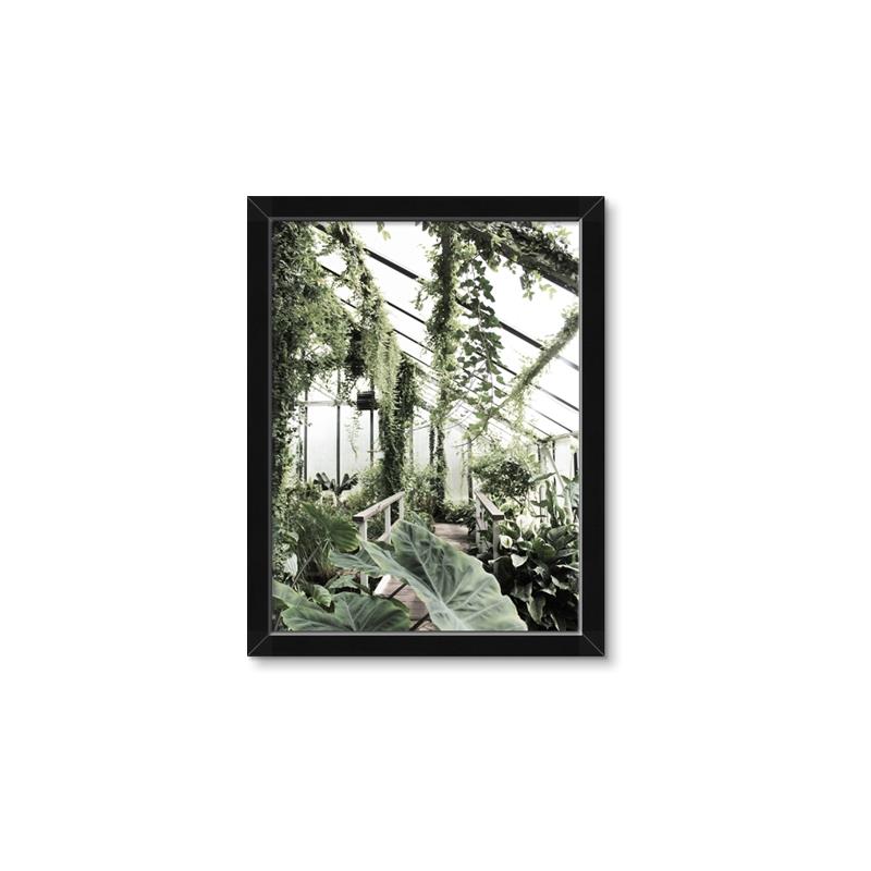 Picture of Greenhouse Serenity  _GroupedProduct_Rectangle_Portrait_Photography _GroupedProduct_Rectangle_Portrait_Framed_Matted_