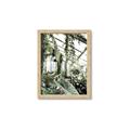 Picture of Greenhouse Serenity  _GroupedProduct_Rectangle_Portrait_Photography _GroupedProduct_Rectangle_Portrait_Framed_Matted_