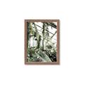 Picture of Greenhouse Serenity  _GroupedProduct_Rectangle_Portrait_Photography _GroupedProduct_Rectangle_Portrait_Framed_Matted_