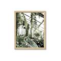 Picture of Greenhouse Serenity  _GroupedProduct_Rectangle_Portrait_Photography _GroupedProduct_Rectangle_Portrait_Framed_Matted_
