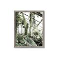 Picture of Greenhouse Serenity  _GroupedProduct_Rectangle_Portrait_Photography _GroupedProduct_Rectangle_Portrait_Framed_Matted_