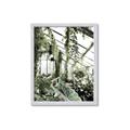 Picture of Greenhouse Serenity  _GroupedProduct_Rectangle_Portrait_Photography _GroupedProduct_Rectangle_Portrait_Framed_Matted_
