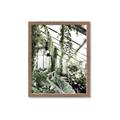 Picture of Greenhouse Serenity  _GroupedProduct_Rectangle_Portrait_Photography _GroupedProduct_Rectangle_Portrait_Framed_Matted_