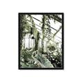 Picture of Greenhouse Serenity  _GroupedProduct_Rectangle_Portrait_Photography _GroupedProduct_Rectangle_Portrait_Framed_Matted_
