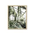Picture of Greenhouse Serenity  _GroupedProduct_Rectangle_Portrait_Photography _GroupedProduct_Rectangle_Portrait_Framed_Matted_