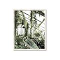 Picture of Greenhouse Serenity  _GroupedProduct_Rectangle_Portrait_Photography _GroupedProduct_Rectangle_Portrait_Framed_Matted_