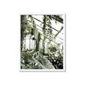 Picture of Greenhouse Serenity  _GroupedProduct_Rectangle_Portrait_Photography _GroupedProduct_Rectangle_Portrait_Framed_Matted_