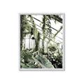 Picture of Greenhouse Serenity  _GroupedProduct_Rectangle_Portrait_Photography _GroupedProduct_Rectangle_Portrait_Framed_Matted_