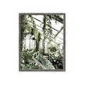 Picture of Greenhouse Serenity  _GroupedProduct_Rectangle_Portrait_Photography _GroupedProduct_Rectangle_Portrait_Framed_Matted_