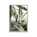 Picture of Greenhouse Serenity  _GroupedProduct_Rectangle_Portrait_Photography _GroupedProduct_Rectangle_Portrait_Framed_Matted_