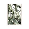 Picture of Greenhouse Serenity  _GroupedProduct_Rectangle_Portrait_Photography _GroupedProduct_Rectangle_Portrait_Framed_Matted_