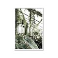 Picture of Greenhouse Serenity  _GroupedProduct_Rectangle_Portrait_Photography _GroupedProduct_Rectangle_Portrait_Framed_Matted_