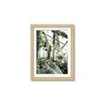 Picture of Greenhouse Serenity  _GroupedProduct_Rectangle_Portrait_Photography _GroupedProduct_Rectangle_Portrait_Framed_Matted_