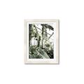 Picture of Greenhouse Serenity  _GroupedProduct_Rectangle_Portrait_Photography _GroupedProduct_Rectangle_Portrait_Framed_Matted_