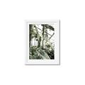 Picture of Greenhouse Serenity  _GroupedProduct_Rectangle_Portrait_Photography _GroupedProduct_Rectangle_Portrait_Framed_Matted_