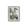 Picture of Greenhouse Serenity  _GroupedProduct_Rectangle_Portrait_Photography _GroupedProduct_Rectangle_Portrait_Framed_Matted_
