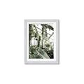 Picture of Greenhouse Serenity  _GroupedProduct_Rectangle_Portrait_Photography _GroupedProduct_Rectangle_Portrait_Framed_Matted_