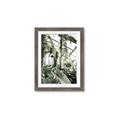 Picture of Greenhouse Serenity  _GroupedProduct_Rectangle_Portrait_Photography _GroupedProduct_Rectangle_Portrait_Framed_Matted_