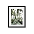Picture of Greenhouse Serenity  _GroupedProduct_Rectangle_Portrait_Photography _GroupedProduct_Rectangle_Portrait_Framed_Matted_