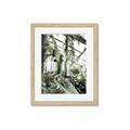Picture of Greenhouse Serenity  _GroupedProduct_Rectangle_Portrait_Photography _GroupedProduct_Rectangle_Portrait_Framed_Matted_