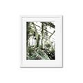 Picture of Greenhouse Serenity  _GroupedProduct_Rectangle_Portrait_Photography _GroupedProduct_Rectangle_Portrait_Framed_Matted_