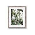 Picture of Greenhouse Serenity  _GroupedProduct_Rectangle_Portrait_Photography _GroupedProduct_Rectangle_Portrait_Framed_Matted_