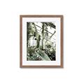 Picture of Greenhouse Serenity  _GroupedProduct_Rectangle_Portrait_Photography _GroupedProduct_Rectangle_Portrait_Framed_Matted_