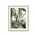 Picture of Greenhouse Serenity  _GroupedProduct_Rectangle_Portrait_Photography _GroupedProduct_Rectangle_Portrait_Framed_Matted_