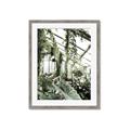 Picture of Greenhouse Serenity  _GroupedProduct_Rectangle_Portrait_Photography _GroupedProduct_Rectangle_Portrait_Framed_Matted_