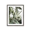 Picture of Greenhouse Serenity  _GroupedProduct_Rectangle_Portrait_Photography _GroupedProduct_Rectangle_Portrait_Framed_Matted_