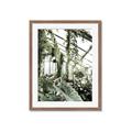 Picture of Greenhouse Serenity  _GroupedProduct_Rectangle_Portrait_Photography _GroupedProduct_Rectangle_Portrait_Framed_Matted_