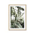 Picture of Greenhouse Serenity  _GroupedProduct_Rectangle_Portrait_Photography _GroupedProduct_Rectangle_Portrait_Framed_Matted_