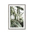 Picture of Greenhouse Serenity  _GroupedProduct_Rectangle_Portrait_Photography _GroupedProduct_Rectangle_Portrait_Framed_Matted_