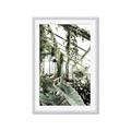 Picture of Greenhouse Serenity  _GroupedProduct_Rectangle_Portrait_Photography _GroupedProduct_Rectangle_Portrait_Framed_Matted_