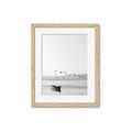 Picture of Birds over the Water _GroupedProduct_Rectangle_Portrait_Photography _GroupedProduct_Rectangle_Portrait_Framed_Matted_