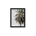 Picture of Canary Palm _GroupedProduct_Rectangle_Portrait_Photography _GroupedProduct_Rectangle_Portrait_Framed_Matted_