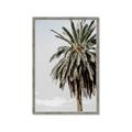 Picture of Canary Palm _GroupedProduct_Rectangle_Portrait_Photography _GroupedProduct_Rectangle_Portrait_Framed_Matted_