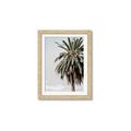 Picture of Canary Palm _GroupedProduct_Rectangle_Portrait_Photography _GroupedProduct_Rectangle_Portrait_Framed_Matted_
