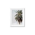 Picture of Canary Palm _GroupedProduct_Rectangle_Portrait_Photography _GroupedProduct_Rectangle_Portrait_Framed_Matted_