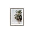 Picture of Canary Palm _GroupedProduct_Rectangle_Portrait_Photography _GroupedProduct_Rectangle_Portrait_Framed_Matted_