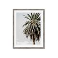 Picture of Canary Palm _GroupedProduct_Rectangle_Portrait_Photography _GroupedProduct_Rectangle_Portrait_Framed_Matted_