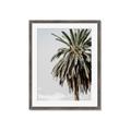Picture of Canary Palm _GroupedProduct_Rectangle_Portrait_Photography _GroupedProduct_Rectangle_Portrait_Framed_Matted_