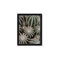 Picture of Cactus Zone _GroupedProduct_Rectangle_Portrait_Photography _GroupedProduct_Rectangle_Portrait_Framed_Matted_