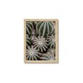Picture of Cactus Zone _GroupedProduct_Rectangle_Portrait_Photography _GroupedProduct_Rectangle_Portrait_Framed_Matted_