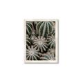 Picture of Cactus Zone _GroupedProduct_Rectangle_Portrait_Photography _GroupedProduct_Rectangle_Portrait_Framed_Matted_