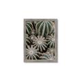 Picture of Cactus Zone _GroupedProduct_Rectangle_Portrait_Photography _GroupedProduct_Rectangle_Portrait_Framed_Matted_