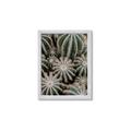 Picture of Cactus Zone _GroupedProduct_Rectangle_Portrait_Photography _GroupedProduct_Rectangle_Portrait_Framed_Matted_