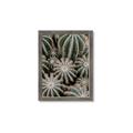Picture of Cactus Zone _GroupedProduct_Rectangle_Portrait_Photography _GroupedProduct_Rectangle_Portrait_Framed_Matted_