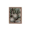 Picture of Cactus Zone _GroupedProduct_Rectangle_Portrait_Photography _GroupedProduct_Rectangle_Portrait_Framed_Matted_